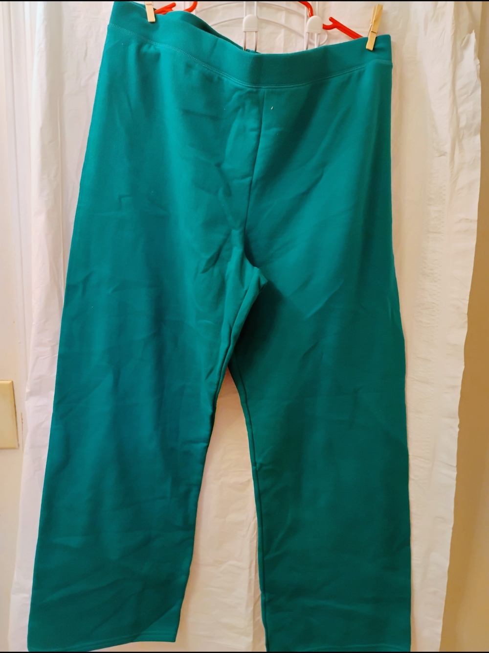 Hanes Teal Sweatpants